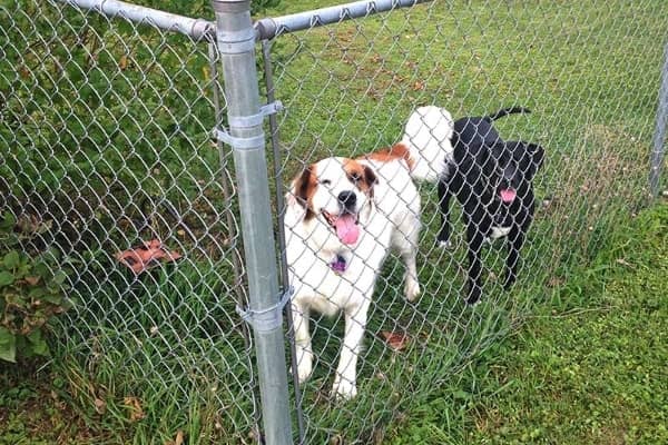Chain Link Fence Installation Chain Link Fence Installation