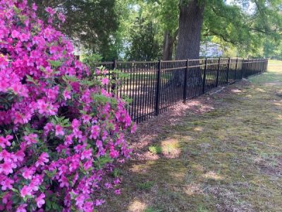 New Fence Installation