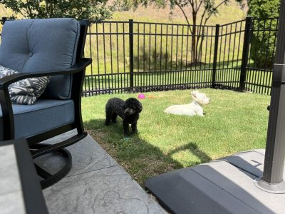Quality Aluminum Fence