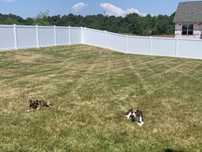 Quality Fence Installation