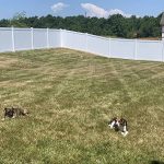 Quality Vinyl Fence Installation