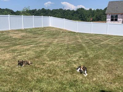 Quality Vinyl Fence Installation